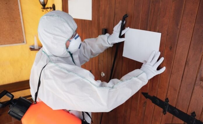 How Exterminator Pest Control Works: A Step-by-Step Overview