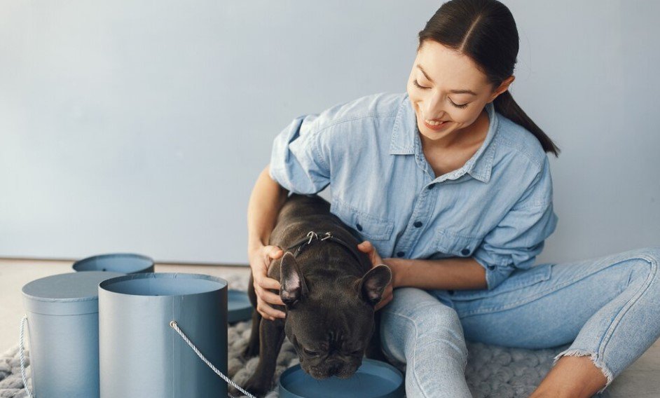 The Ultimate Guide to Pet Care Certification: Everything You Need to Know